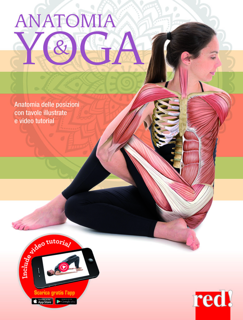 Anatomia e Yoga